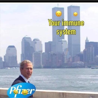 1638304588131.png