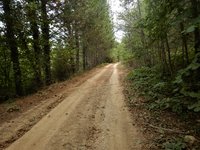 DSCN4206.JPG