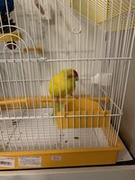 5B1E11E1-6857-4E07-A2D8-1D31D060F6AD.jpeg