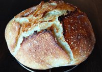 IMG_20220105_160808.jpg