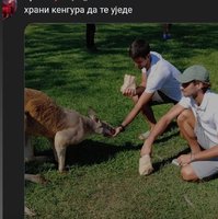 Screenshot_20220106-201822_Instagram.jpg