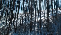 IMG_20150215_132035.jpg