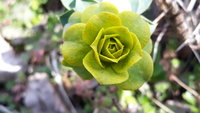 20220215_120827.jpg