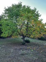 20211004_171410.jpg