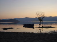 DSC06104.JPG