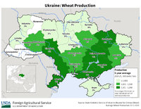 Ukraine_wheat.jpg