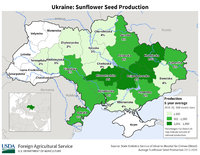 Ukraine_Sunflowerseed.jpg