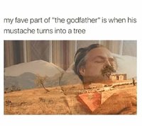 FB_IMG_1647703452770.jpg