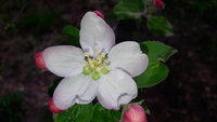 20220416_093709.jpg