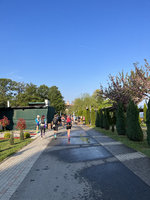 IMG_6459.jpg