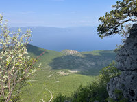 IMG_6467.jpg
