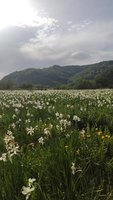 IMG_20220528_171637.jpg