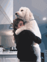 chrissy-costanza-atc.gif