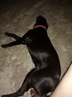 IMG_20220625_204228.jpg