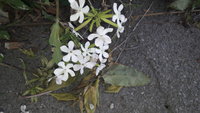 20220628_095949.jpg