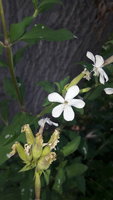 20220628_095959.jpg