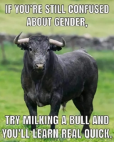 1657872468656.png