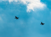 DSC_0047.jpg