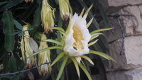 20220901_073240.jpg