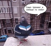 IMG_20221007_072502.jpg