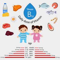 vitamin-b12-or-cobalamin-infographic-b12-vector-15303217.jpg