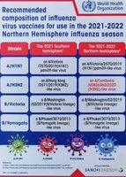 WHO-Flu-2021-447x628.jpeg