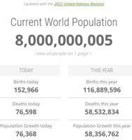 104462.jpg