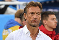 FkUfztVz-Herve-Renard.jpg