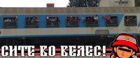 FB_IMG_1669383586351.jpg