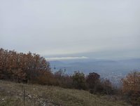 IMG_20221127_104827.jpg