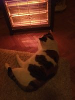 20221205_004806.jpg