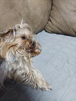 IMG_20221213_194251.jpg
