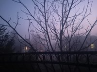 IMG_20191216_163125.jpg