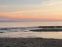 6A07CA27-DFBB-451F-B719-640E5340ED6B.jpeg