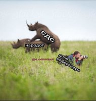 FB_IMG_1672184562830.jpg