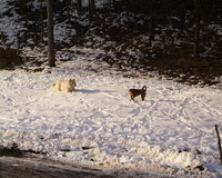 PIC00001.jpg