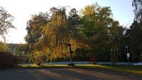 20211018_170937.jpg