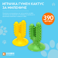 Играчка гумен кактус за милениче.png