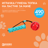 Играчка гумена топка на ластик за маче.png