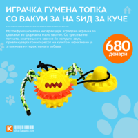 Играчка гумена топка со вакум за на ѕид за куче.png
