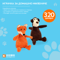 Играчка за домашно милениче2.png