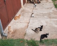 20220728_185804.jpg