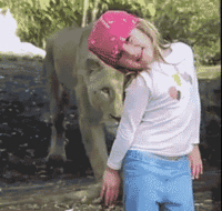 a-fright-when-the-lioness-is-suddenly-right-behind-her-on-the-other-side-of-the-protective-glass.gif
