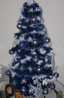 IMG_2640.jpg