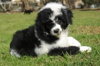 sue9wks.jpg