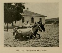 mazedonienerlebn00dofl_0328.jpg