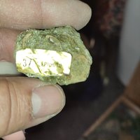 IMG_20230312_113937.jpg
