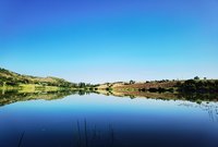 IMG_20210813_080917.jpg