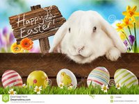 happy-easter-greeting-card-white-bunny-adorable-lop-eared-meadow-spring-flowers-wooden-sign-lo...jpg
