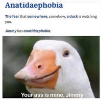 39D1A3BF-6ABF-4A2B-9688-D10D4D8264A0.jpeg